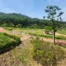 청주