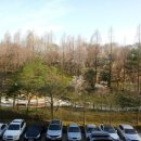 주공농장 이미지