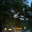 돌배야영장(제1야영장)