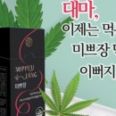 주식회사 씨드투