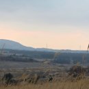 자장자장민박 이미지