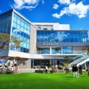 리버레인 이미지