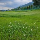 가평파크골프장(관외) 이미지