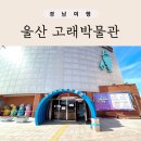 울산 고래박물관 입장료 예매 주차 후기