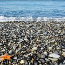 주전마을 이미지