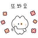 마마국시집 이미지