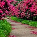 창신대학교 부동산경영대학원 이미지
