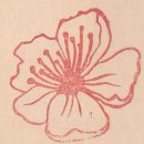 장천 꽃 박물관 이미지