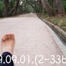 에너지산곰장어 이미지