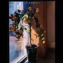 육사시미 콘서트 3 이미지