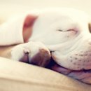 광주종로약국 이미지