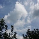 빛고운농원