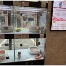 도그플레이스 이미지