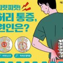 허리디스크 증세 통증 완화 운동 허리디스크 자가진단 이미지