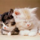 계산메디칼센타 이미지