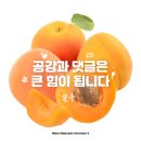 일본어초급 | [독학 일본어] 동양북스,한 권으로 끝내는 일본어 초급 문법노트 :1주차 후기