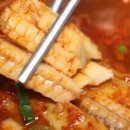 돌체식당