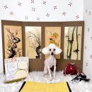 더, 빛나개 이미지