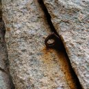 뜻밖의 하루 이미지