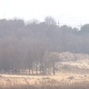 수원-0081 이미지