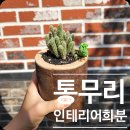 아름다운 애월읍 꽃집의 다양한 서비스 체험 후기