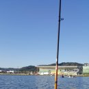 탄금호국제조정경기장 이미지