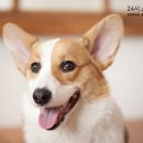 소래동물병원 이미지