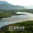 대강강 이미지