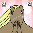 하와이조개 당산역점 이미지