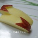 태양과일 이미지