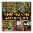 우로지 자연숲 황토길 | 대구인근 영천 가볼만한 곳, 우로지 자연숲길 걷기, 메타세쿼이아, 맥문동 어우러진 길