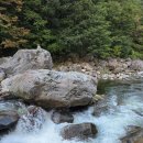 주나참숯불갈비 이미지