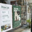 힐링요가(낮) | [여자혼자 치앙마이여행] 빠이요가/치앙마이요가 (태국여행 운동 후기)