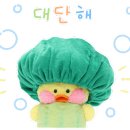 동강아름캠프 이미지