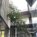 시립미술관(비엔날레주차장) 이미지