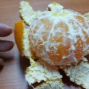 휘성농장 이미지