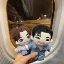 D-1 이미지