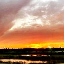 솔라고 골프연습장 이미지