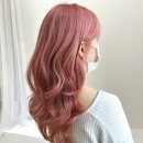 살롱 수 이미지