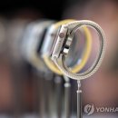 스키비 이미지