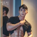 빌드핏