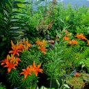 추월산 우리별 민박 이미지