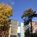 서울특별시교육청도봉도서관(디지털자료실) 이미지