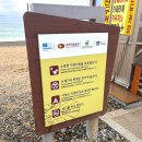 지경리 | 경주 가볼 만한 곳 | 문무대왕릉, 지경리 해식동굴 가는 길 후기