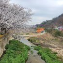 내곡천 | 창원 가볼만한곳, 의창구 북면 마법의정원 내돈내산 피크닉 방문후기입니다~