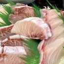 노량진 횟집 추천: 노량진수산시장 대방어 1티어 맛집 공유의 건 🐟