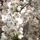 하얀이치과의원 이미지