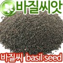 씨드 이미지