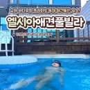 엘시아 애견풀빌라 | 남해 강아지 동반 여행 숙소 추천 &lt;엘시아애견풀빌라&gt; 프라이빗한 독채 (ft. 토리야 닭꼬치)