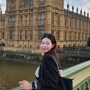 아부엘로 이미지